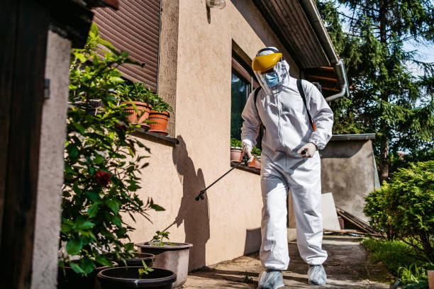 Best Best Pest Control Companies  in South Coatesville, PA