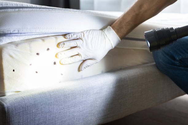 Best Commercial Pest Control Services  in South Coatesville, PA