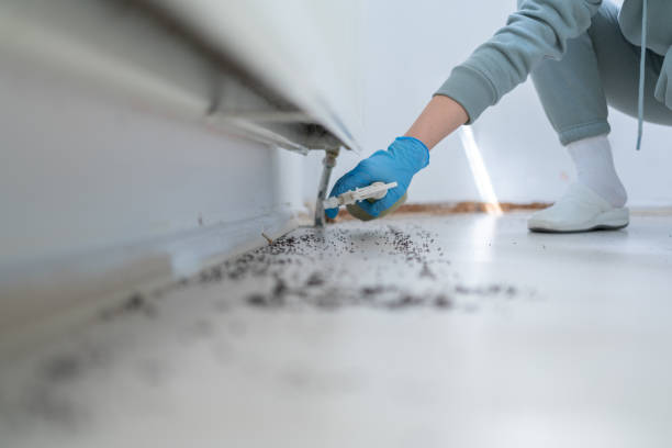 Best Wasp Removal Services  in South Coatesville, PA