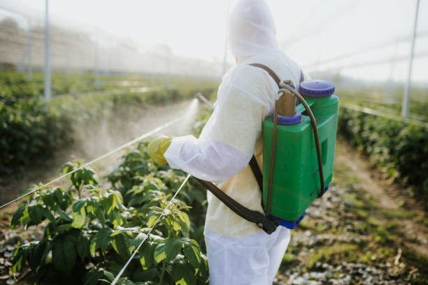 Best Bed Bug Extermination  in South Coatesville, PA